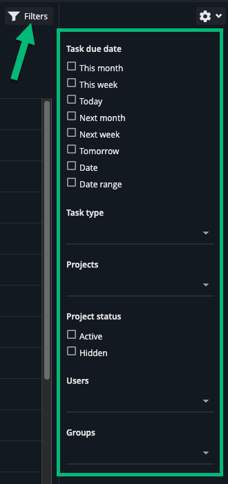 project-report-filters.png