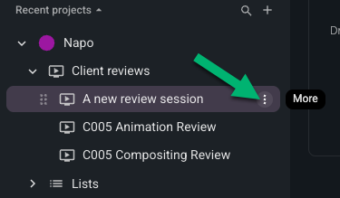 client-review-more-menu.png